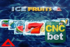 CNCBET ajuda online — chat de suporte no aplicativo oficial