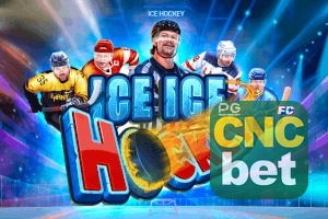 CNCBET feedback — categorias de sugestão e melhoria no app