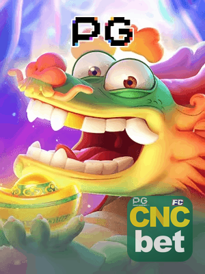 CNCBET bet — painel ao vivo com cotações dinâmicas