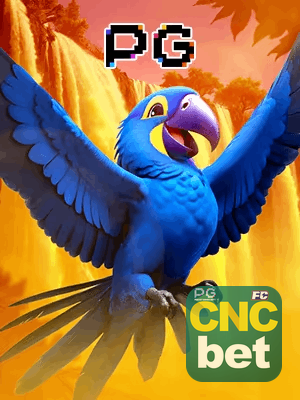 CNCBET bônus — cashback 15 por cento e níveis VIP