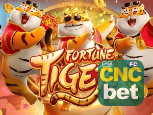 Guia install APK CNCBET BR