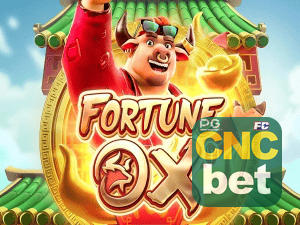 CNCBET login — painel de entrada no app oficial