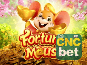 CNCBET login — configurações de segurança e proteção de conta